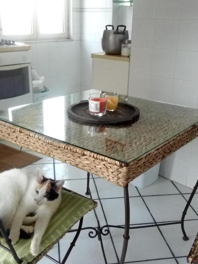 ナポリLa Casa Del Soleアパートメント エクステリア 写真